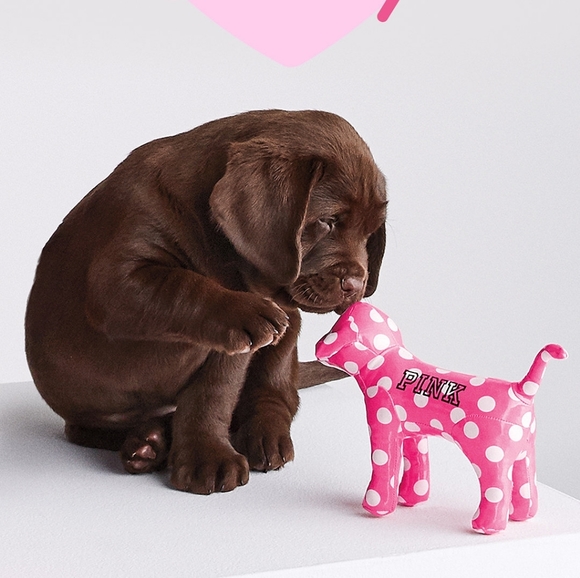 Meet your Posher, Jessica - Picture 2 of 7